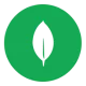 mongodb logo